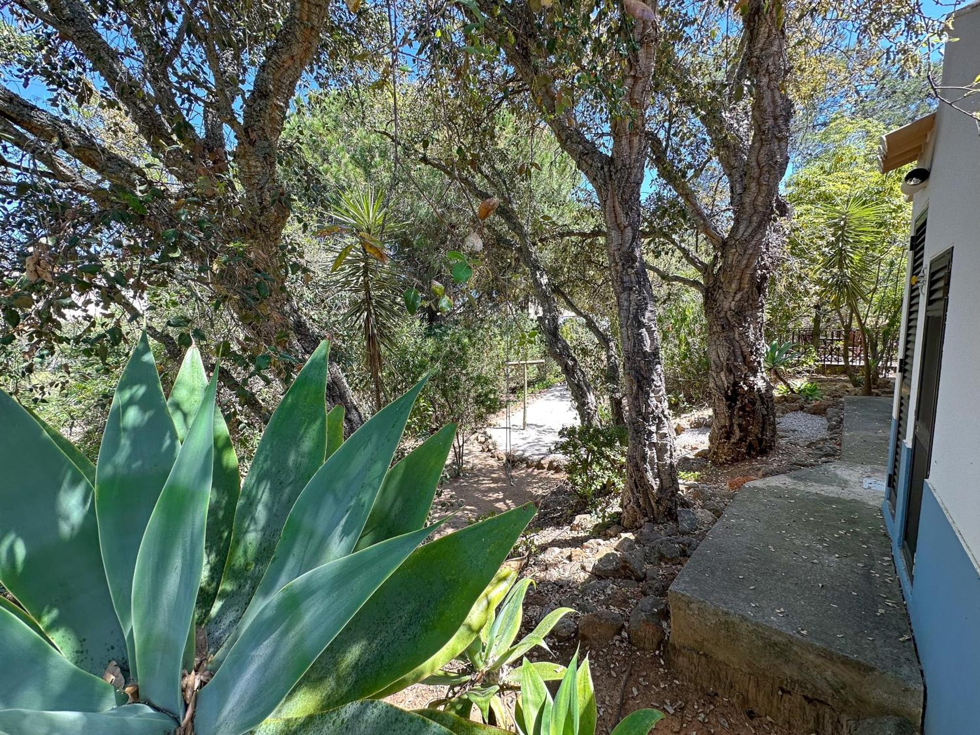 Quinta Do Rosal Hotel Carvoeiro Kültér fotó